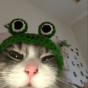 a-cat-in-a-funky-hat