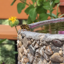 a-humble-bumblebee-blog