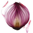 a-multi-layered-onion