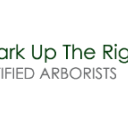 abarkuprighttree-blog
