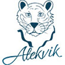 alekvik-shop