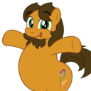 alex-the-chubby-pony
