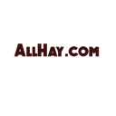 allhayks91-blog