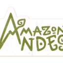amazon-andes