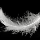 angel-wings-and-feathers