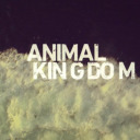 animalkingdom6
