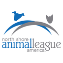 animalleague-blog
