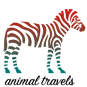 animaltravelsblog-blog