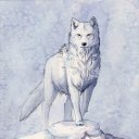 annjo-wolfe
