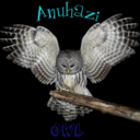 anuhazi-owl