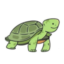 apathetic-tortoise