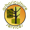 arboricultureservices-blog1