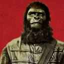 archives-of-the-apes-1968