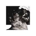 armourhound-blog