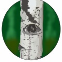 ash-tree-eyes