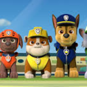 ask-the-paw-patrol-puppies