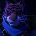 ask-the-tiger-assassin