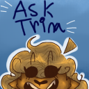 ask-the-tms