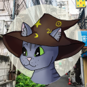 athena-cat-wizard-official