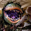 audrey2-real