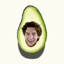 avocadosarchives