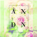 axdesigns