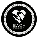 bachprojectph