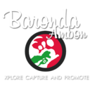 baronda-ambon-blog