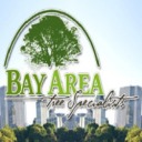 bayareatreespecialists