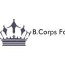 bcorpsfornonprofits-blog