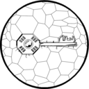 bd-turtlepolpol