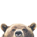 bear-hunt-er-blog