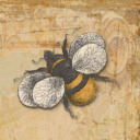 bee-the-bard