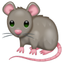 bigger-rat