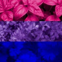 biosex-bisexuality-blog