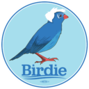 birdiiesanders-blog