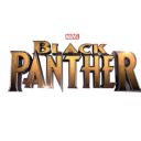 black-panther-incorrect