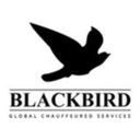 blackbirdworldwide-blog