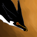 blackrazorbill