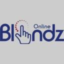 blindzonline