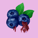 blueberryviscera