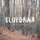 bluedaina-blog
