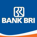 bnkbri-info