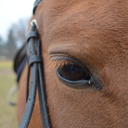 bodypositive-equestrians-blog