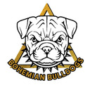 bohemianbulldogs-blog