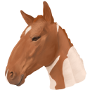 bonnes-the-horse