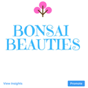 bonsaibeauties-blog