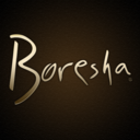 boreshaintl-blog