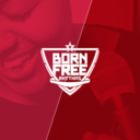 bornfreerhythms-blog-blog