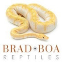 bradboareptiles-blog